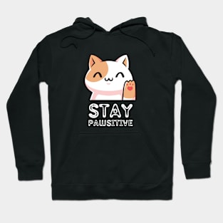 Stay Pawsitive - Cats Hoodie